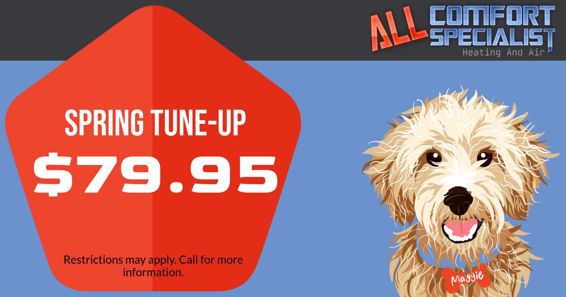 Spring Tune-Up $79.95